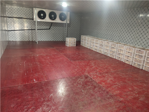 醫(yī)藥冷庫(kù)安裝