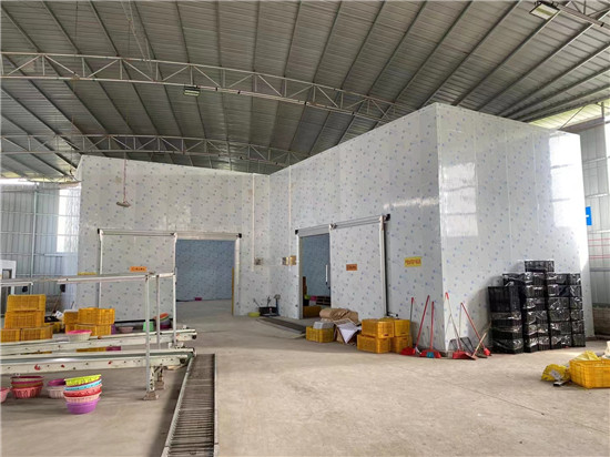 專業(yè)冷庫維修 專業(yè)冷庫維修